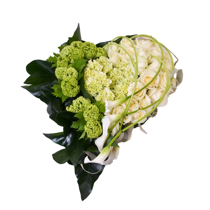 Coeur n°1 Coeur n°1