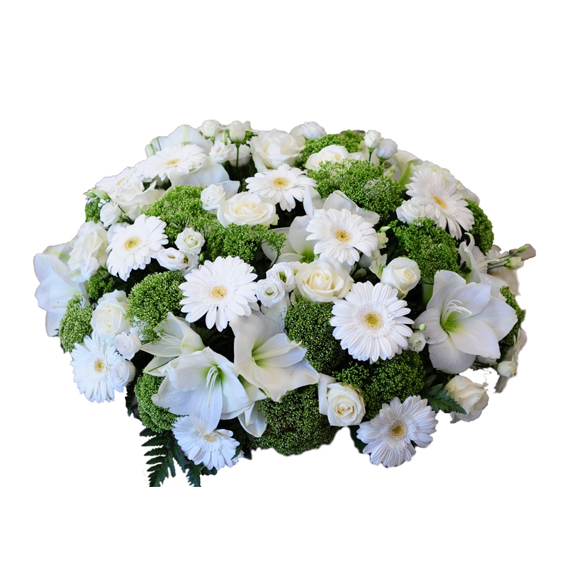 Coussin n°7 Coussin n°7