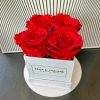 Rose éternelle N°1