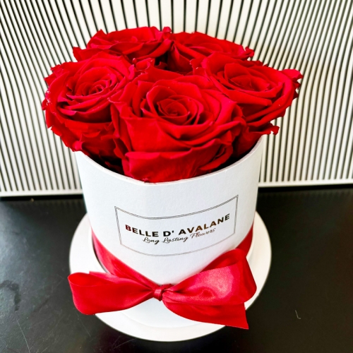 Rose éternelle rouge N°2