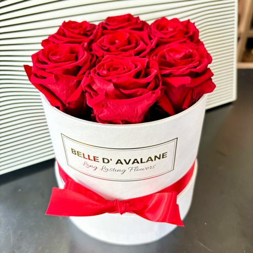 Rose éternelle rouge N°3